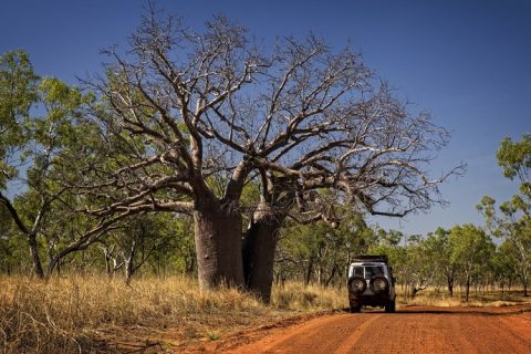 Experience the most of the Kimberley on a 4WD Kimberley Tour