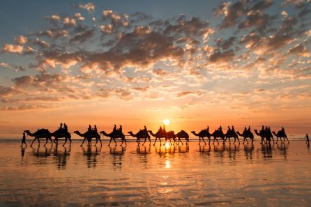 5 Reasons Why You Should Book a Trip to Broome