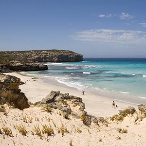 WEB SA 0010 111504 Pennington Bay Kangaroo Island Copyright SATC
