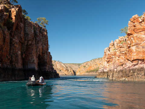 NEW WEBSITE Featured Image 800 x 600 Ponant Expedition