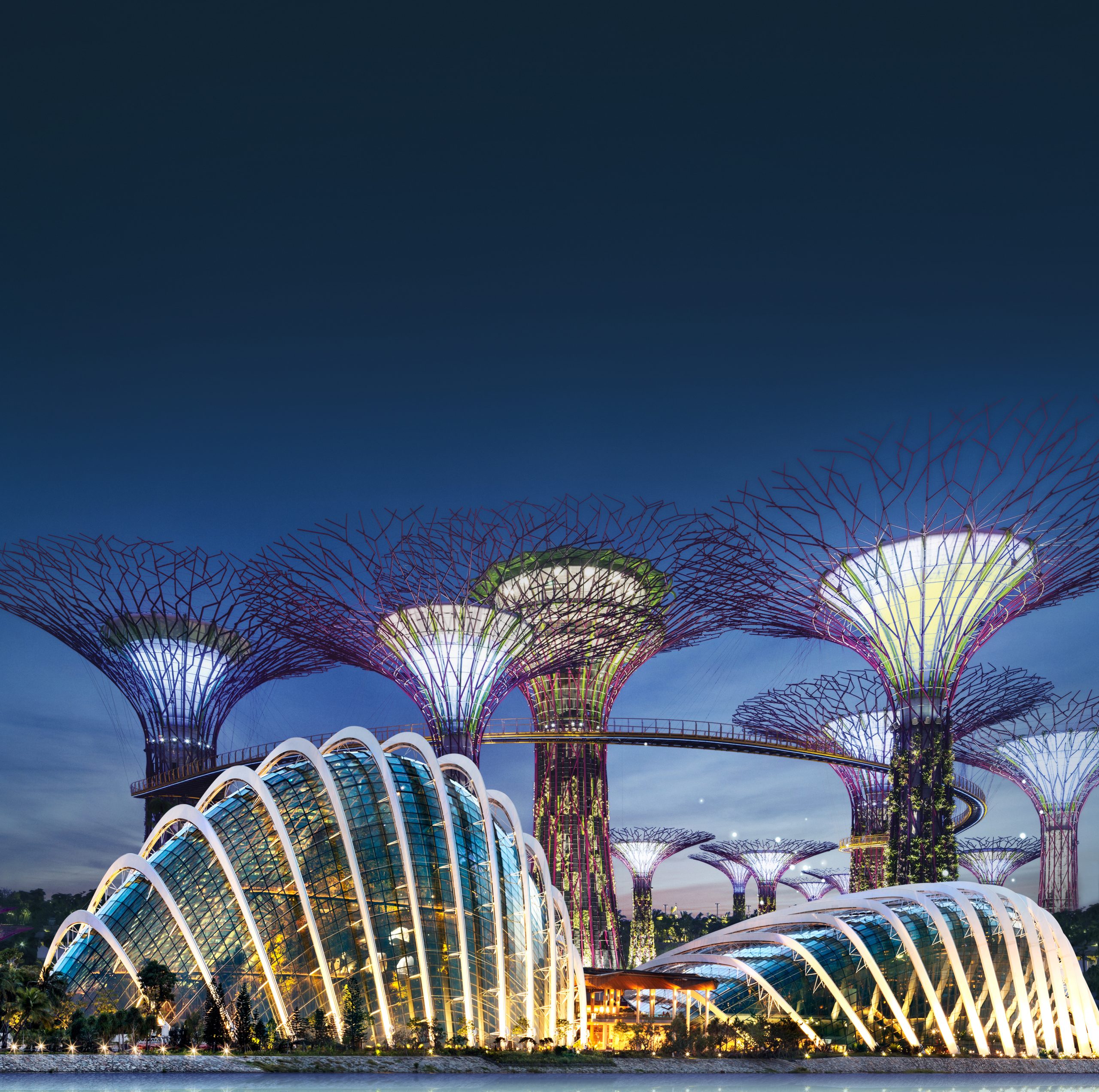 Conservatories and Supertree Grove Singapore