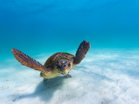 CoralCoastDriveFeaturedImage 800x600 1