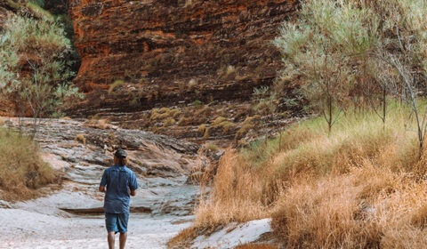 NEW WEBSITE Gallery 720 x 420 Bungle Bungle Guided Tours Catherine Gorge
