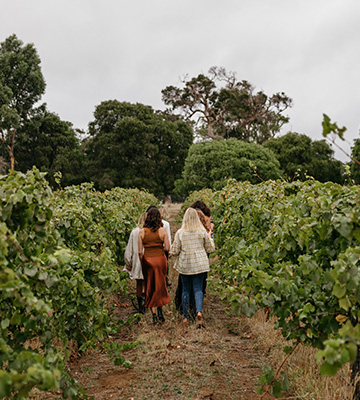 360x400 Ultimate Wineries Leeuwin Estate