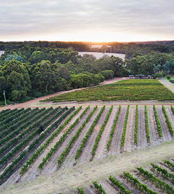 360x400 Ultimate Wineries VAsse Felix