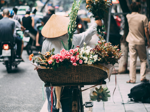 HanoiFlowers 800x600 1