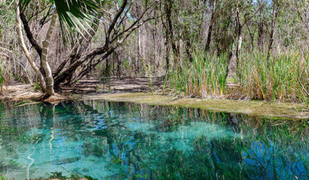 NEW WEBSITE Gallery 720 x 420 Recovered psd 0002 131863 56 Crystal clear waters of Bitter Springs Mandatory credit Touri