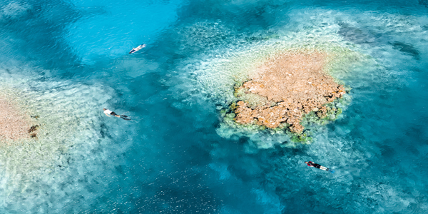 119034 56 600 x 300 Rowley Shoals Marine Park near Broome mandatory credit Tourism Western Australia