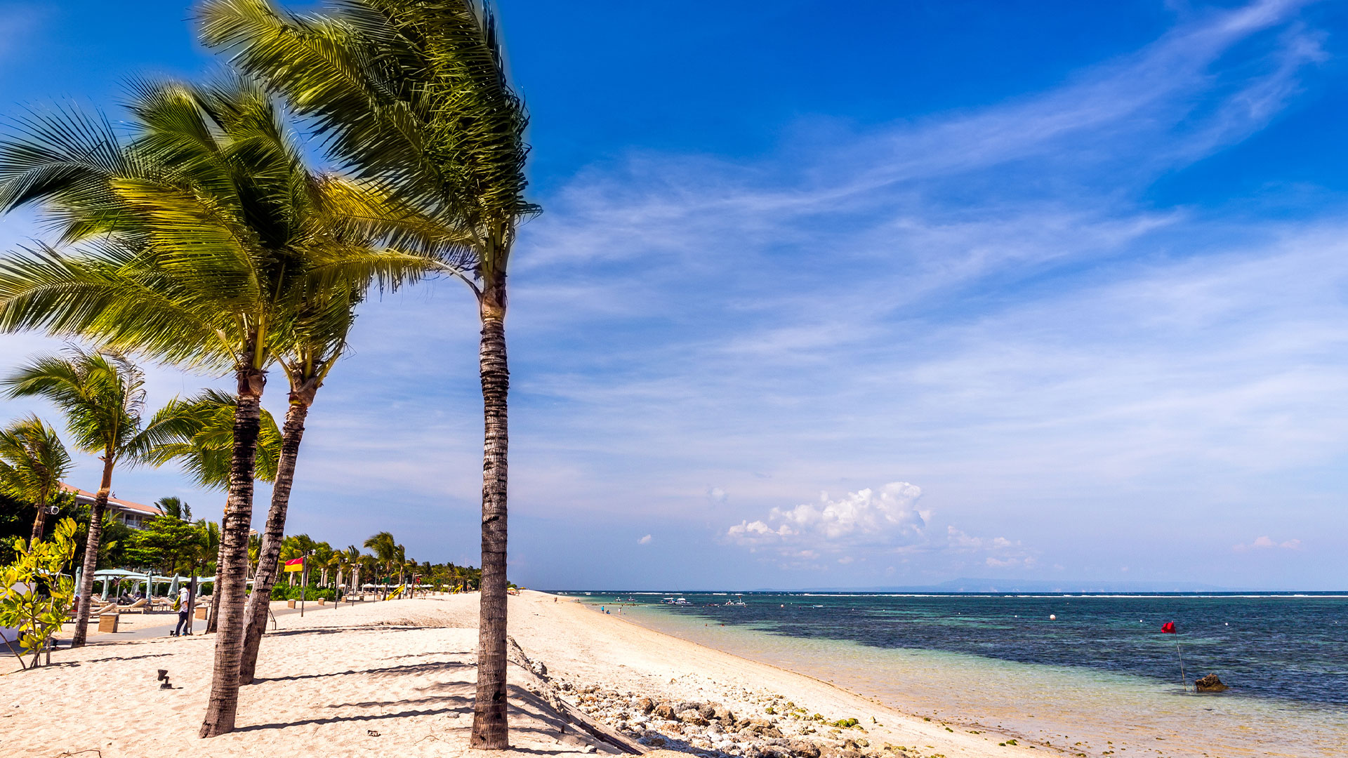 White sand fringed with coconut trees at Geger Beach, Nusa Dua, Bali, Indonesia