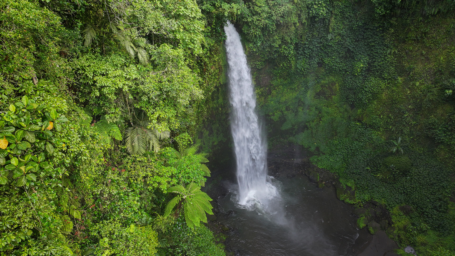 Aerial view of Nungnung Waterfall, Bali, Indonesia