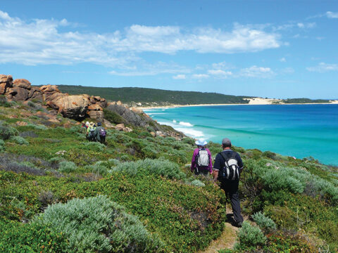 NEW WEBSITE Featured Image 800 x 600 Cape to Cape